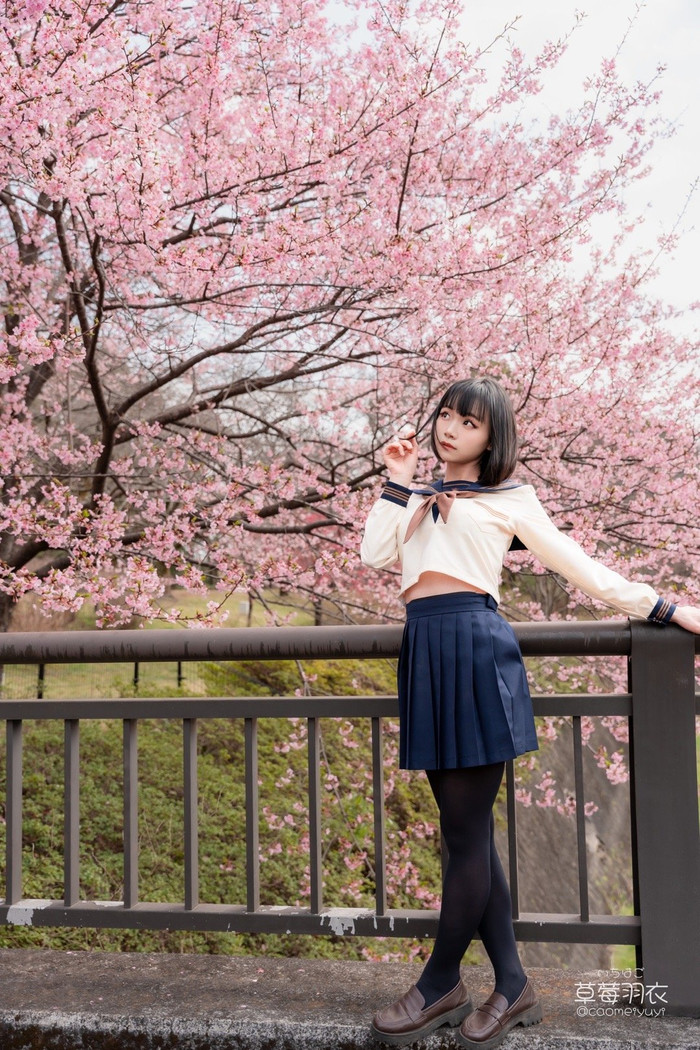 草莓羽衣 草莓羽衣